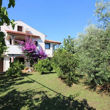 Apartment Apartments In Porec/Istrien 10072 *